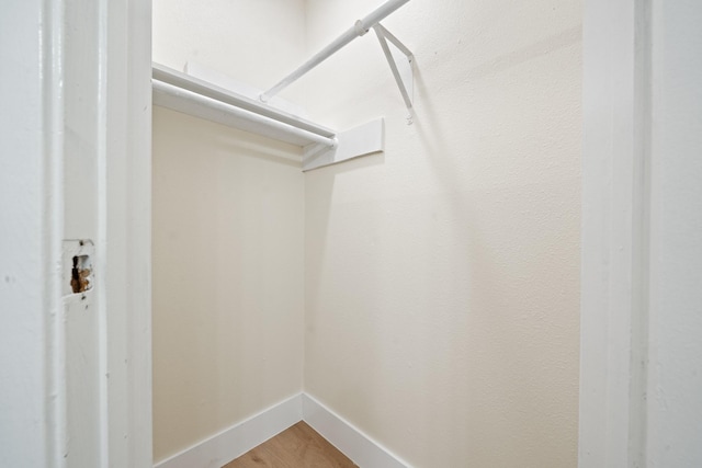spacious closet featuring wood finished floors