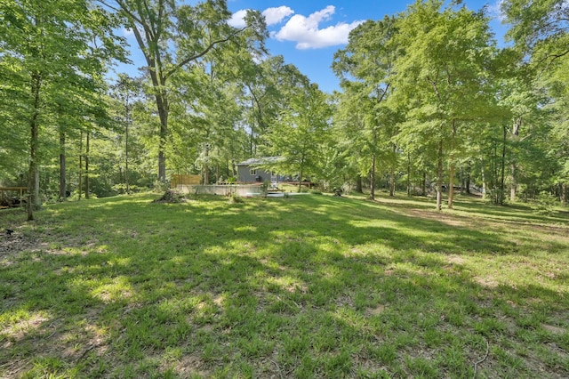 view of yard