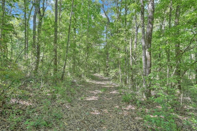 view of nature featuring a view of trees