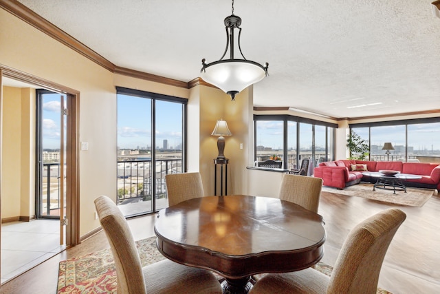 dining room with crown molding, a textured ceiling, and plenty of natural light