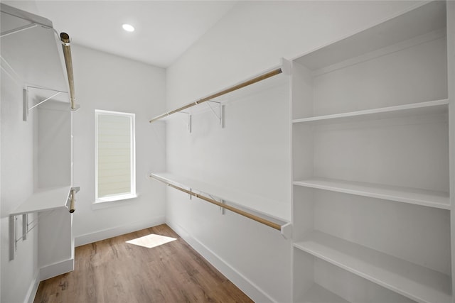 walk in closet featuring wood finished floors
