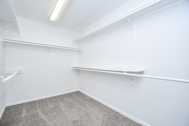 spacious closet with carpet