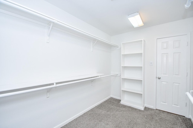 walk in closet with carpet