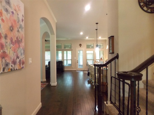 23423 Tavola Rosa Dr, New Caney, TX 77357 - hall featuring arched walkways, crown molding, dark wood finished floors, recessed lighting, and baseboards