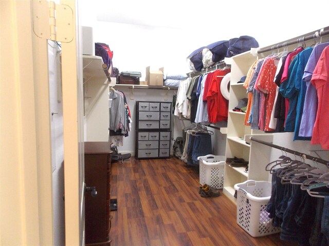 23423 Tavola Rosa Dr, New Caney, TX 77357 - spacious closet with wood finished floors