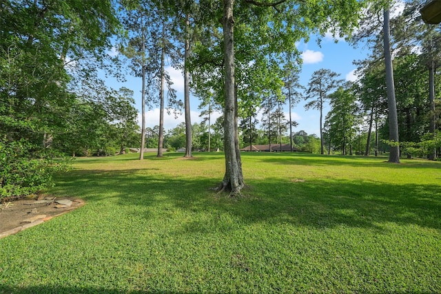 12 Cherry Hill Dr, Conroe, TX 77304 - view of grassy yard