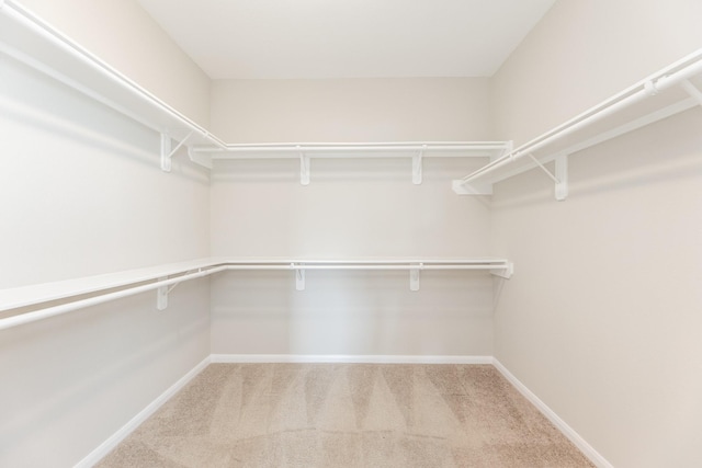 walk in closet with light colored carpet