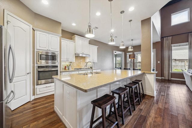 kitchen with under cabinet range hood, stainless steel appliances, dark wood-type flooring, and a sink