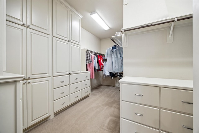 spacious closet with light colored carpet