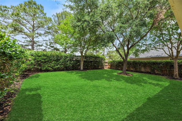view of yard with a fenced backyard