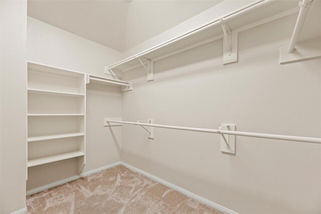 spacious closet with carpet