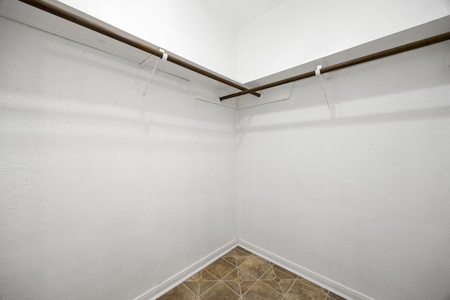 19302 Peach Valley Cir, Houston, TX 77084 - view of walk in closet