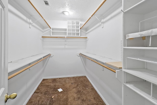 spacious closet with carpet floors and visible vents