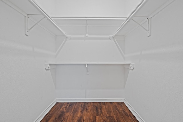 walk in closet featuring dark wood finished floors