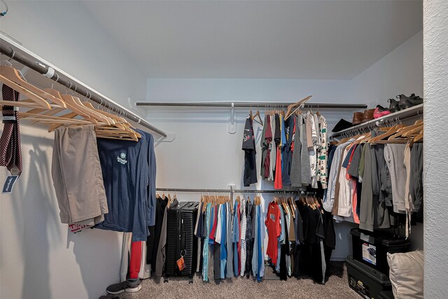 515 Green Clover Ln, Rosharon, TX 77583 - walk in closet featuring carpet flooring