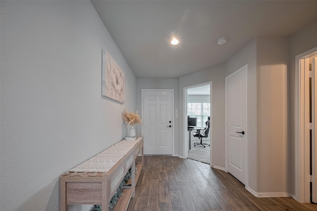 515 Green Clover Ln, Rosharon, TX 77583 - interior space with baseboards and dark wood-style flooring