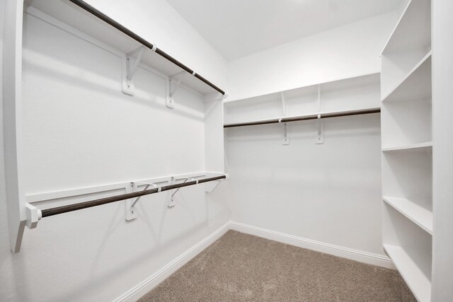 15607 Boulder Lake Ln, Conroe, TX 77302 - spacious closet with carpet floors