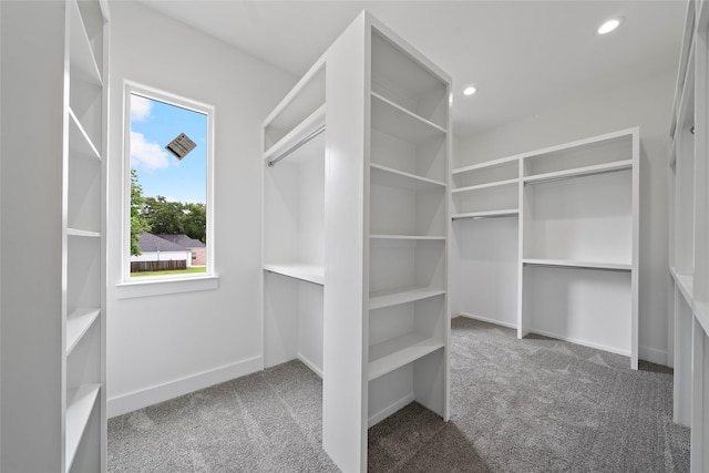 4519 Teton St, Houston, TX 77051 - walk in closet featuring carpet