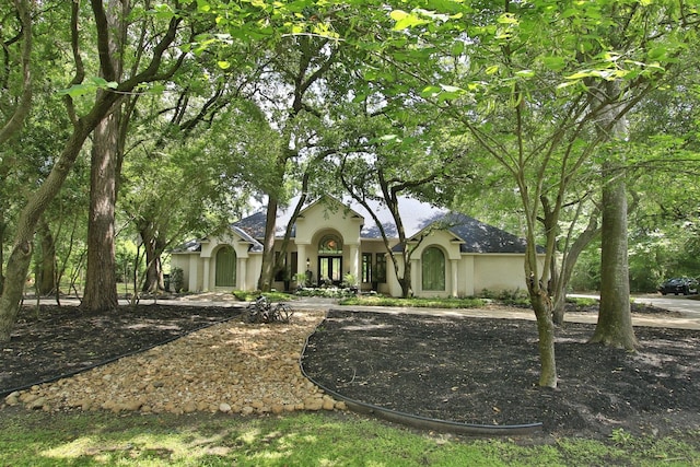 17511 Seidel Rd, Tomball, TX 77377 - view of front of house with stucco siding and french doors