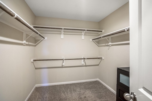 spacious closet featuring carpet flooring
