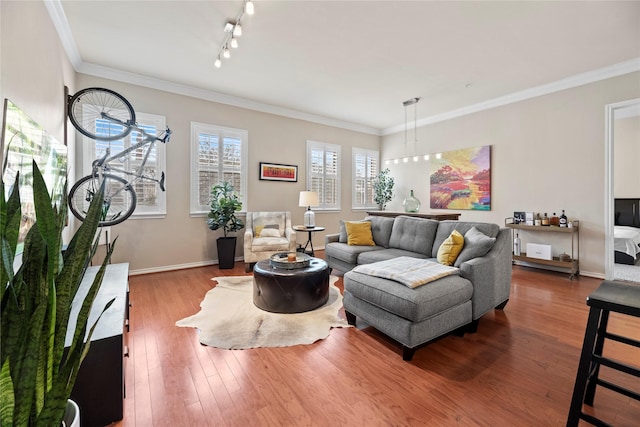 living area featuring wood finished floors, crown molding, and baseboards
