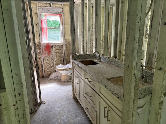 full bath with a sink, double vanity, and toilet