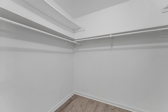 walk in closet featuring wood finished floors