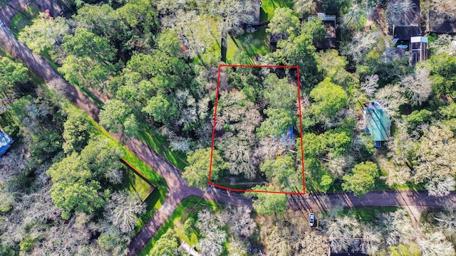 16777 Stinson Ln, Montgomery, TX 77316 - bird's eye view