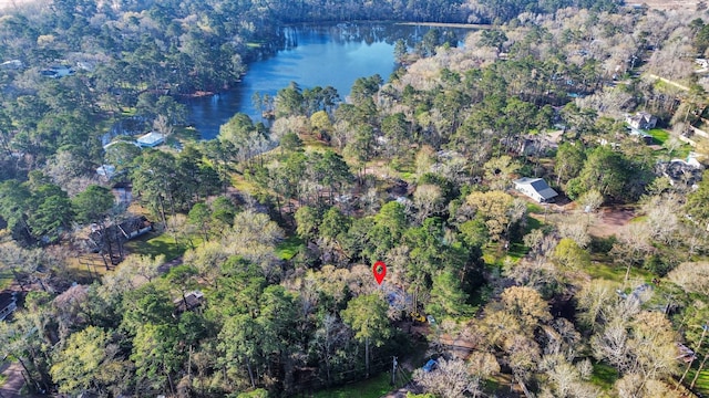 16777 Stinson Ln, Montgomery, TX 77316 - birds eye view of property featuring a forest view and a water view