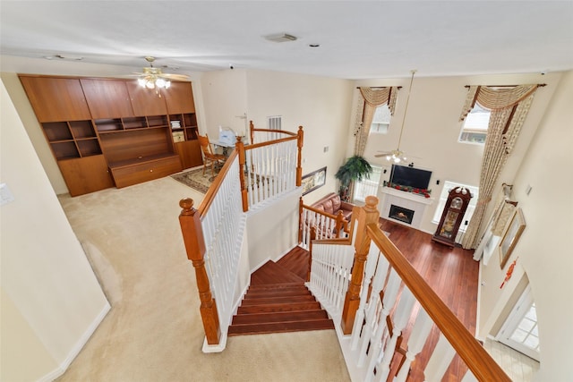 staircase with a fireplace, visible vents, carpet flooring, and ceiling fan