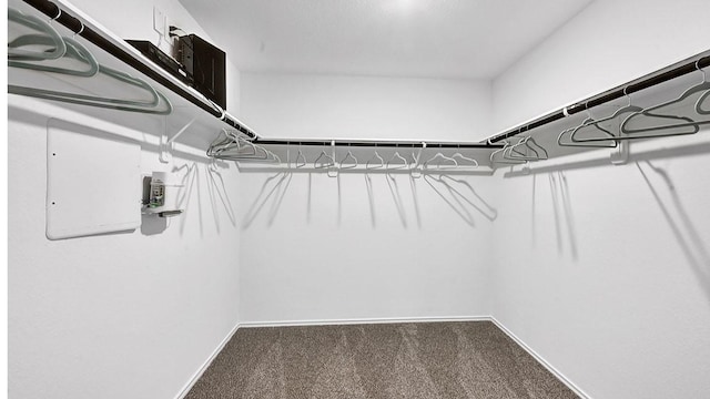 2707 Misty Elm Ln, Rosenberg, TX 77469 - spacious closet with carpet
