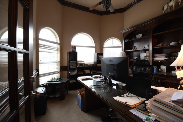 carpeted office with crown molding and a ceiling fan