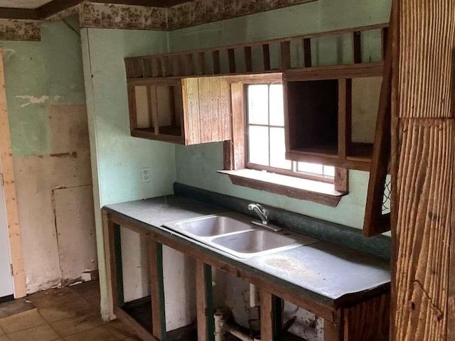 kitchen featuring a sink