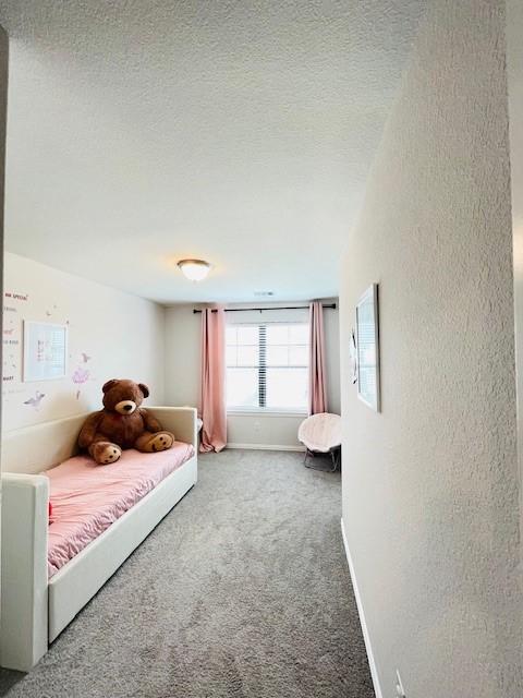 27915 Western Creek Ct, Katy, TX 77494 - carpeted bedroom with a textured wall, a textured ceiling, and baseboards