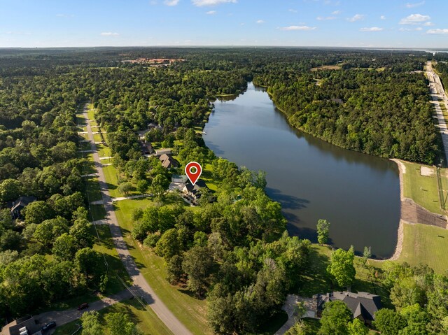132 Lyndsey Dr, Montgomery, TX 77316 - photo 2