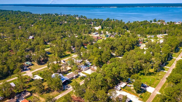 191 Trinidad Ln, Point Blank, TX 77364 - birds eye view of property featuring a wooded view and a water view