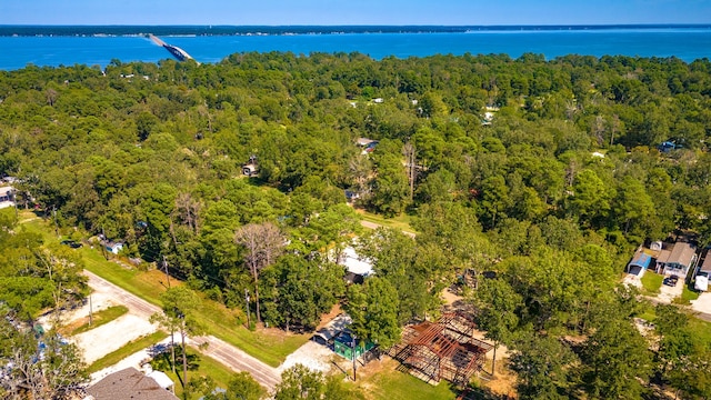 191 Trinidad Ln, Point Blank, TX 77364 - bird's eye view with a view of trees and a water view