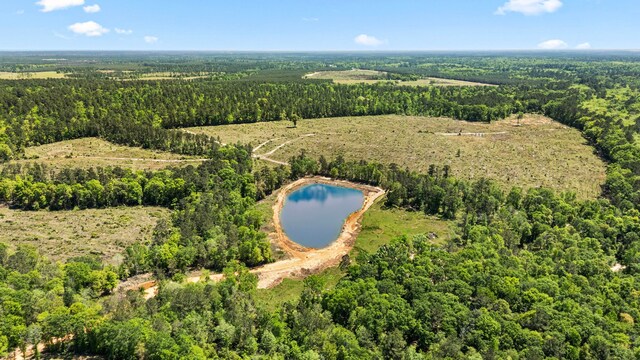 100 Quiet Springs Trl, Willis, TX 77378