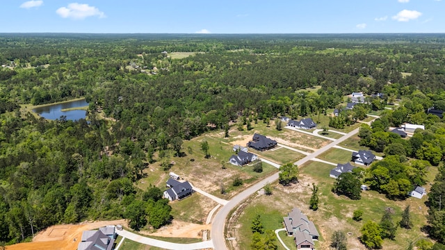 100 Quiet Springs Trl, Willis, TX 77378