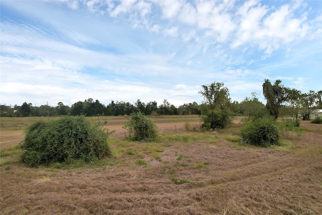 view of landscape with a rural view