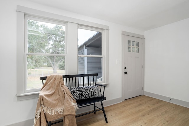 interior space with light wood finished floors, plenty of natural light, and baseboards
