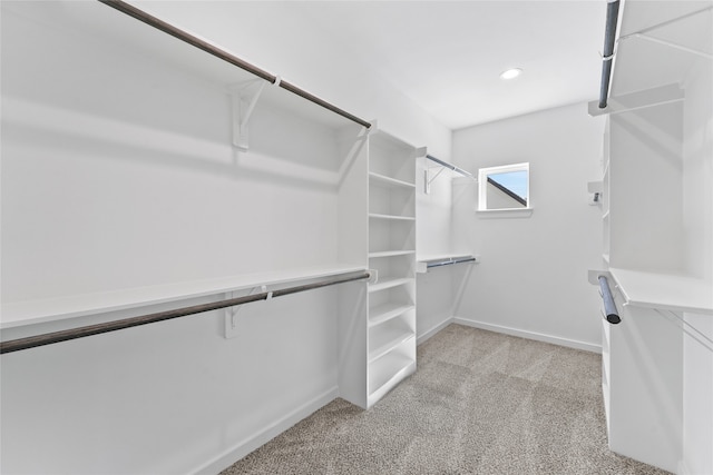 spacious closet with light colored carpet