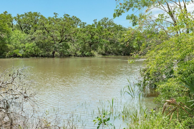 water view with a forest view