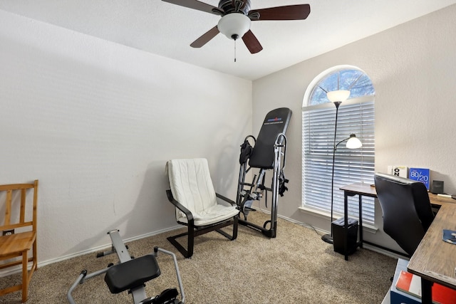 home office with a ceiling fan, baseboards, and carpet