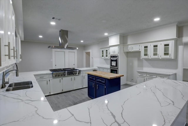 kitchen featuring a sink, blue cabinets, island range hood, appliances with stainless steel finishes, and visible vents