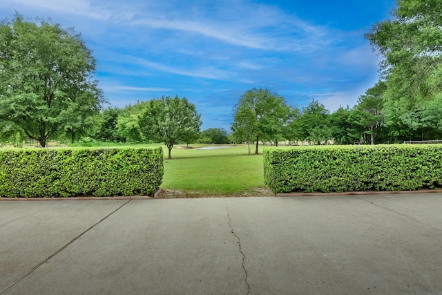 view of home's community with a lawn