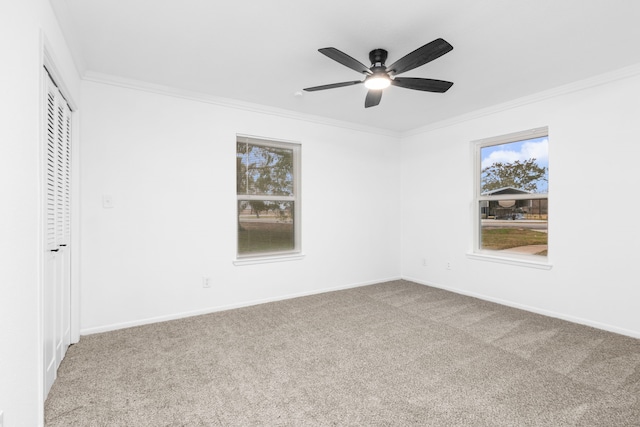 unfurnished bedroom featuring crown molding, multiple windows, and carpet