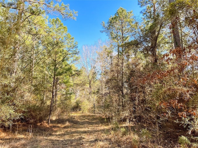 0000 Union Springs Rd, Corrigan, TX 75939