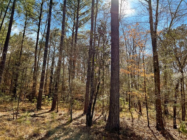 0000 Union Springs Rd, Corrigan, TX 75939