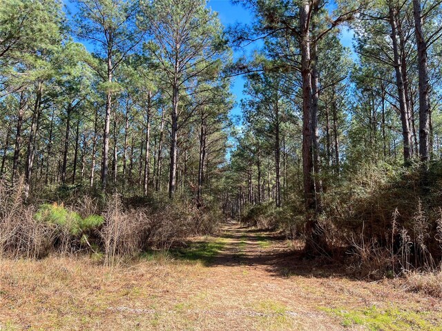 0000 Union Springs Rd, Corrigan, TX 75939